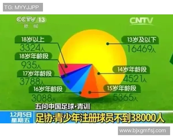 法国足球明星阵容揭秘 揭开他们背后的故事与辉煌成就