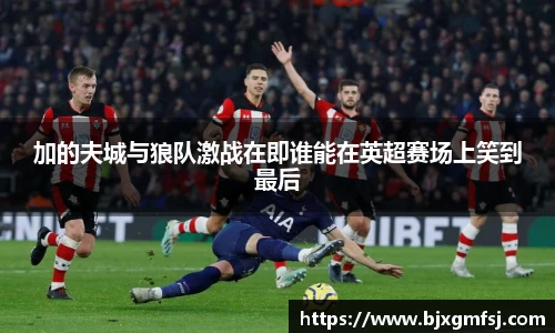 加的夫城与狼队激战在即谁能在英超赛场上笑到最后